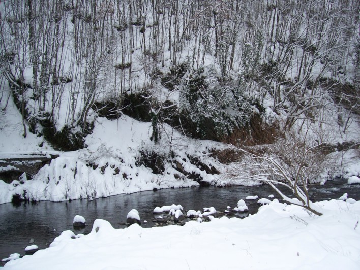  Image name: molino 2008 317.jpg 
 width: 708 pixel 
 height: 532 pixel 
 Size: 157804 bytes 
 Click to enlarge 